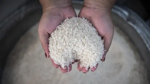 Harga Beras Turun di Banyumas, Cabai Rawit Justru Naik Hingga 8 Persen